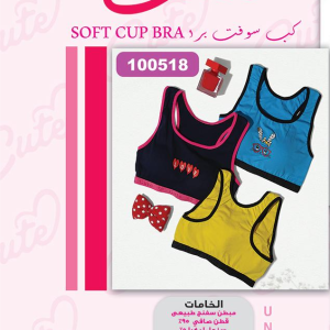 Soft Cup Bra
